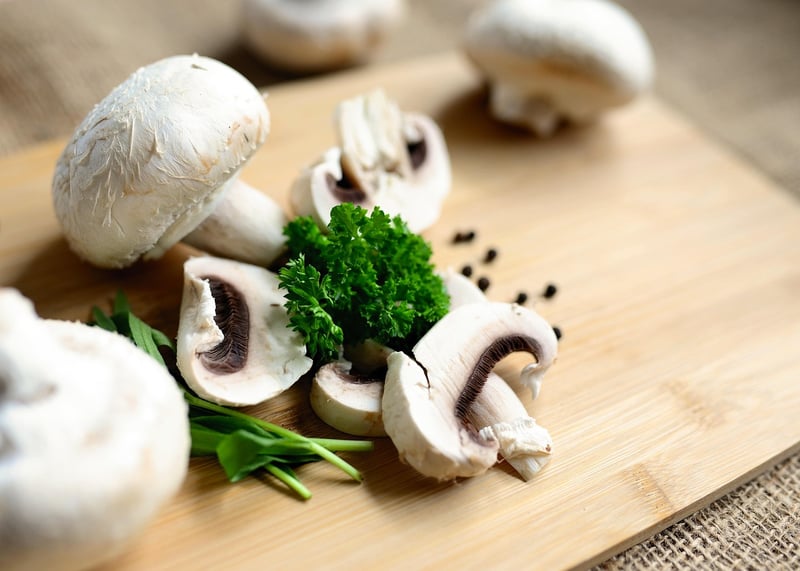Edible Insects