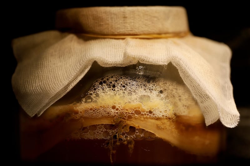 Fermentation Magic